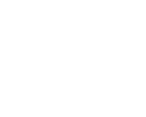 pastbook logo 1
